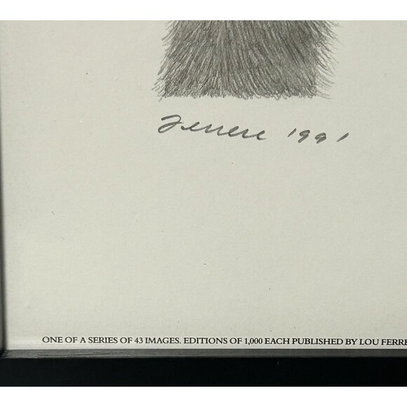 Lou Ferreri Ostriches Print Signed 1991 Edition 502/1000 St Paul Mn Black Frame - Picture 10 of 10